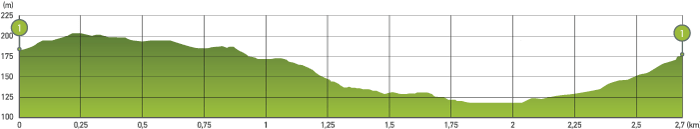 graph_image