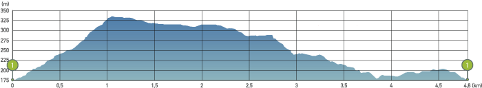 graph_image