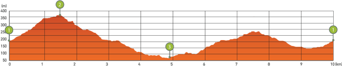 graph_image